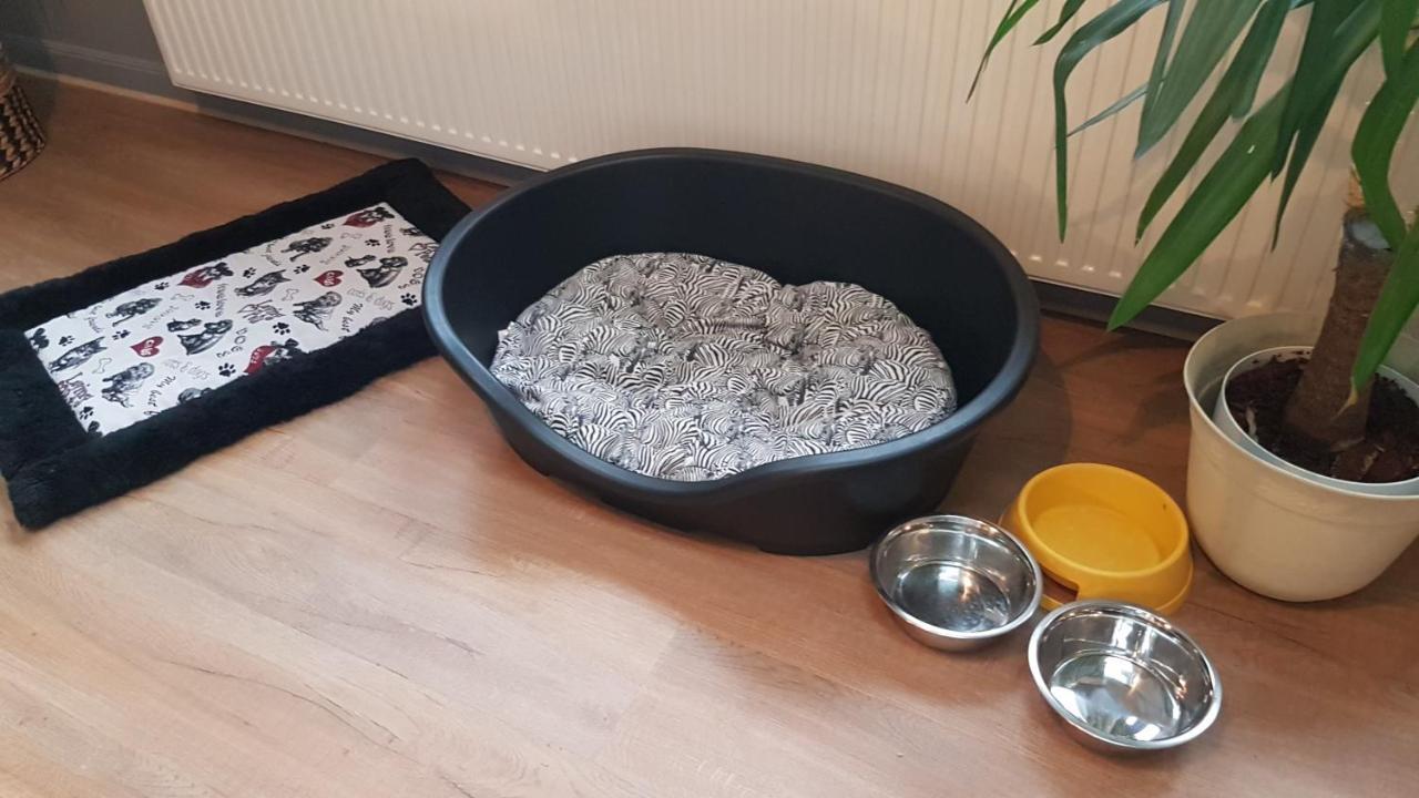 Nature, Charme, Confort, Avec Netflix Et Ps4 Lutzelbourg Екстериор снимка